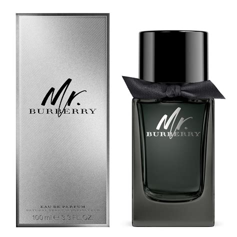 burberry mr burberry parfum|Burberry perfume for men's price.